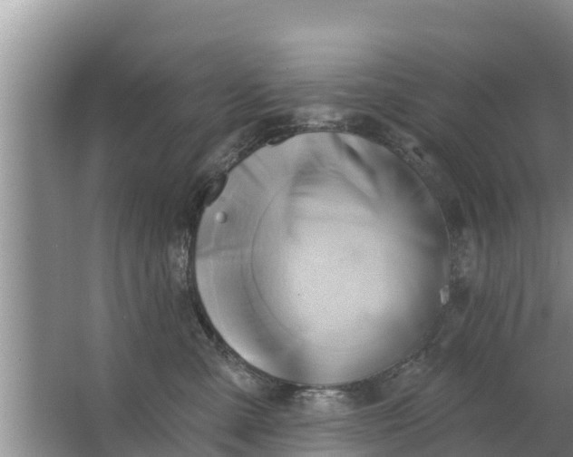 X0000063530427200602032141