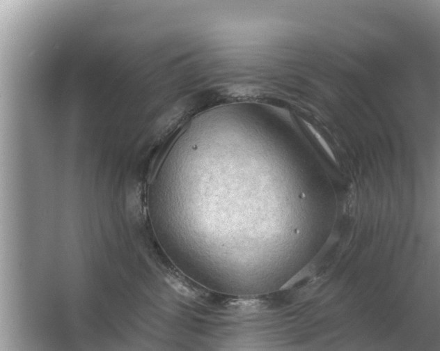 X0000063530428200602032141