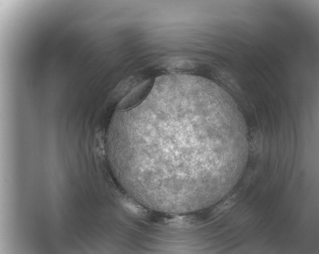 X0000063530430200602032141