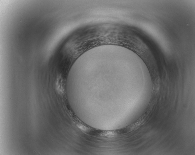 X0000063530431200602032141