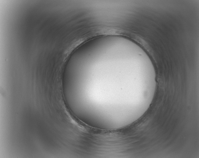 X0000063530433200602032140