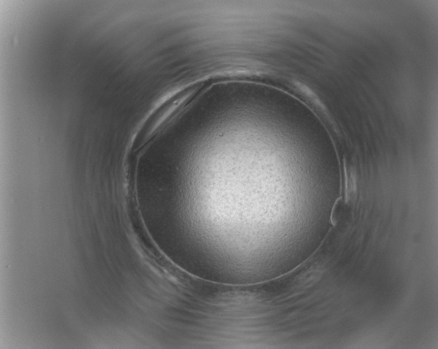 X0000063530435200602032140