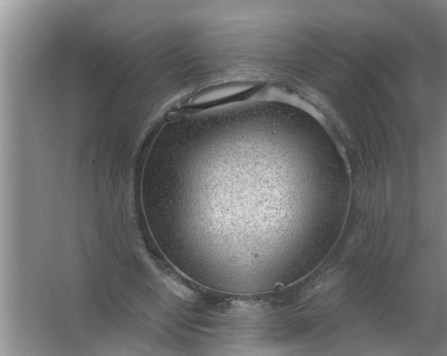 X0000063530442200602032140