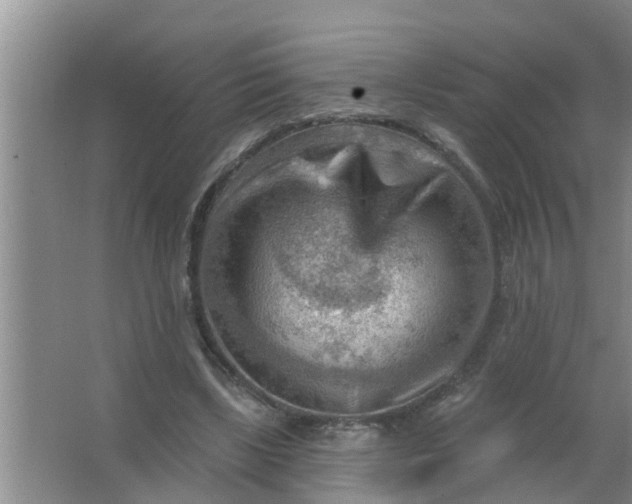 X0000063530443200602032140