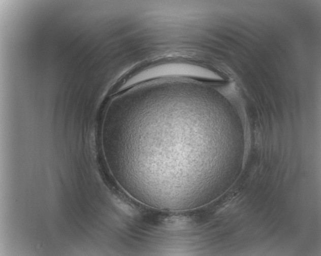 X0000063530444200602032140