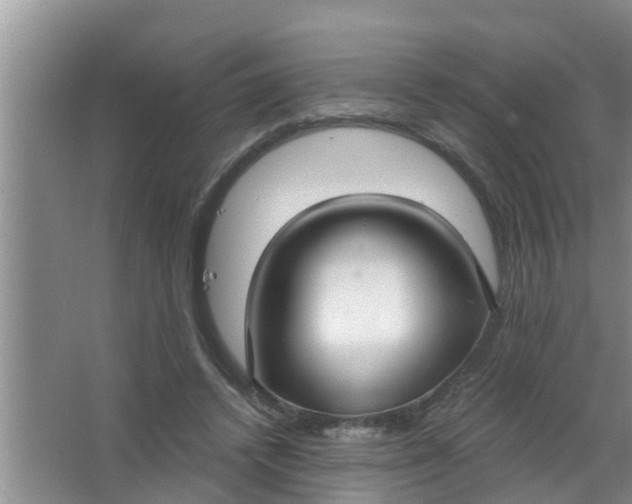 X0000063530448200602032140