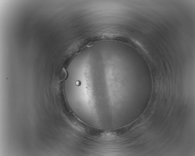 X0000063530451200602032140