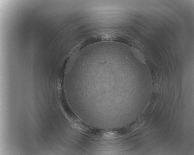 X0000063530456200602032140