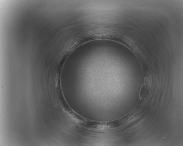 X0000063530458200602032140