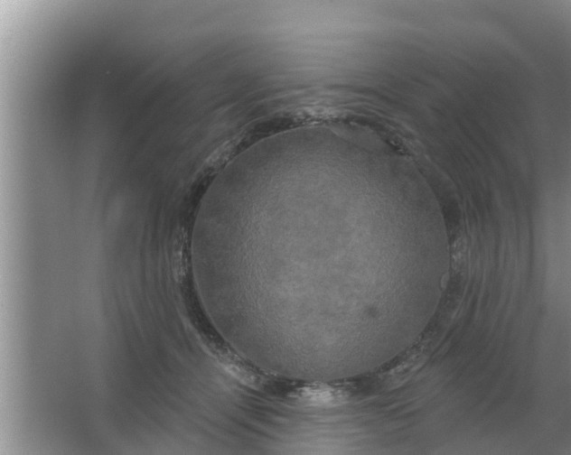 X0000063530464200602032140