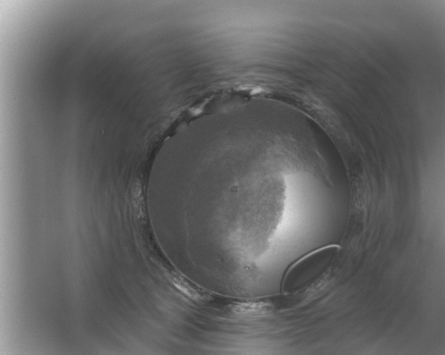 X0000063530465200602032140