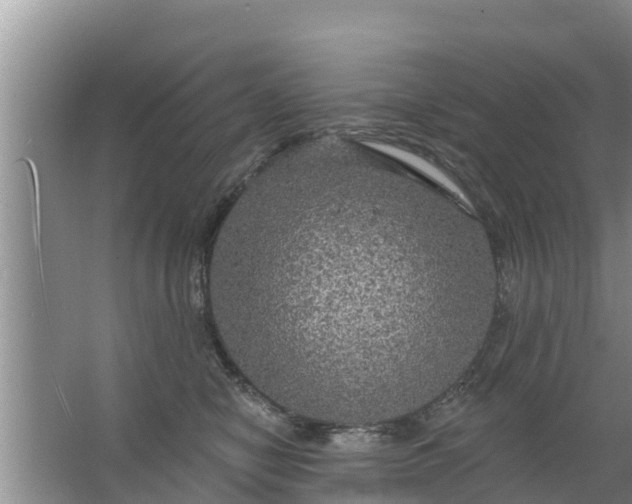 X0000063530470200602032141