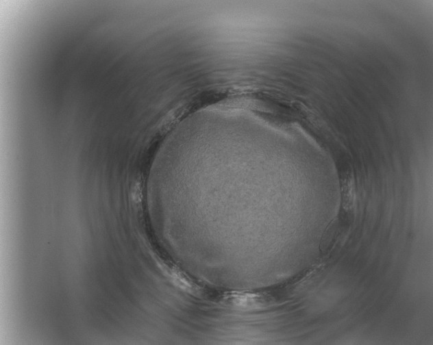 X0000063530472200602032141