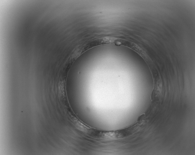 X0000063530473200602032141