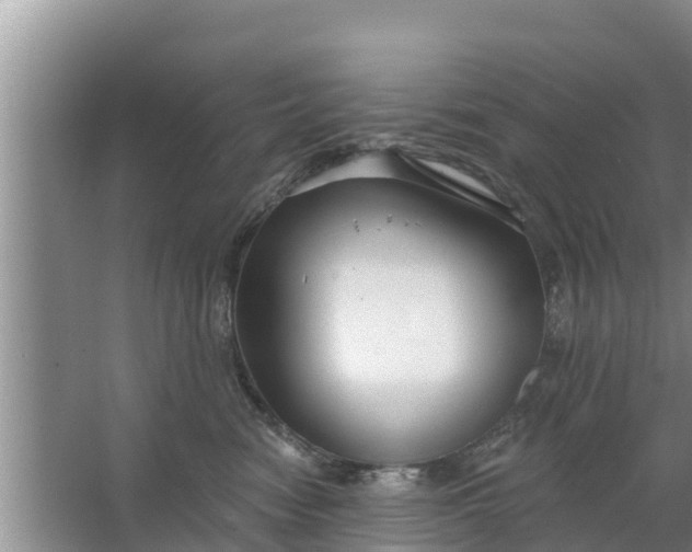 X0000063530474200602032141