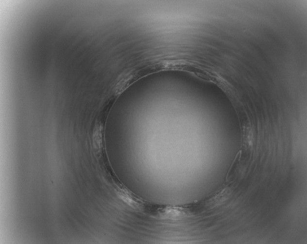 X0000063530475200602032141