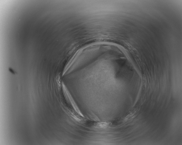 X0000063530479200602032141