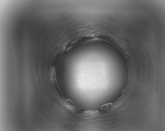 X0000063530480200602032141