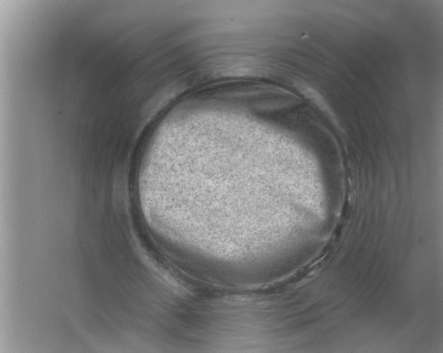 X0000063530482200602032140