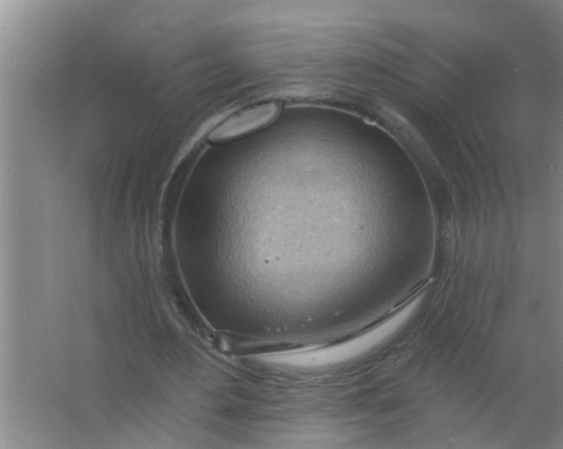 X0000063530484200602032140