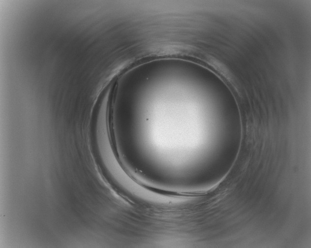 X0000063530485200602032140