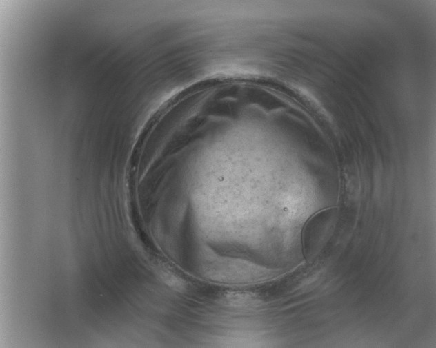 X0000063530487200602032140