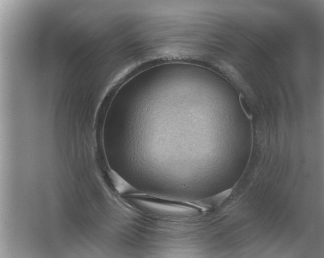 X0000063530488200602032140