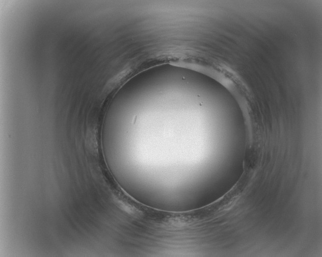 X0000063530489200602032140