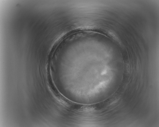 X0000063530491200602032140