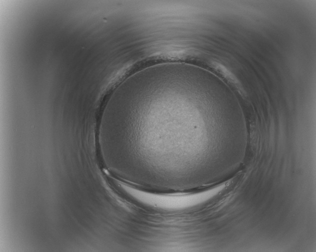 X0000063530493200602032140