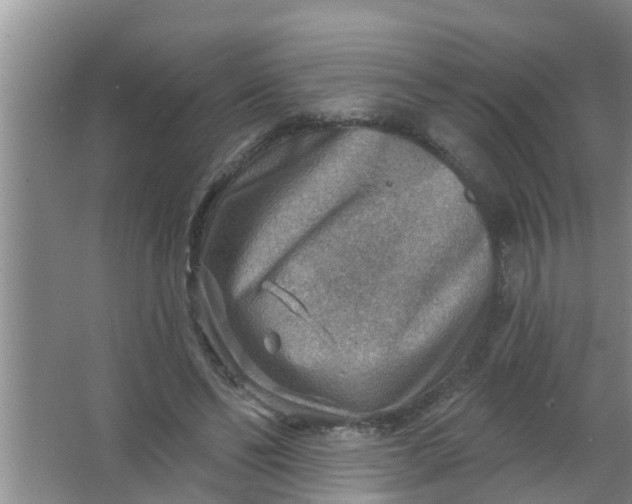 X0000063530494200602032140