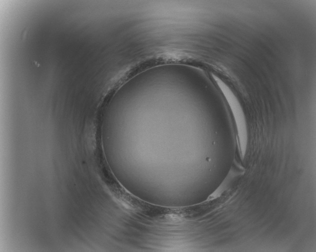 X0000063530496200602032140