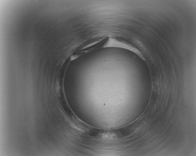 X0000063530500200602032140