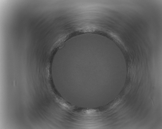 X0000063530501200602032140