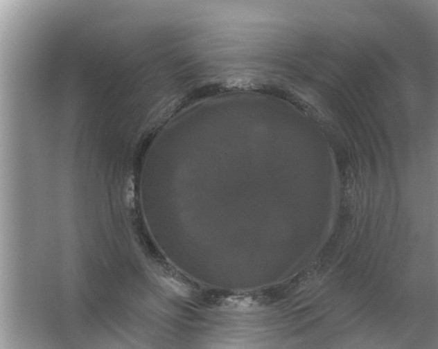 X0000063530502200602032140