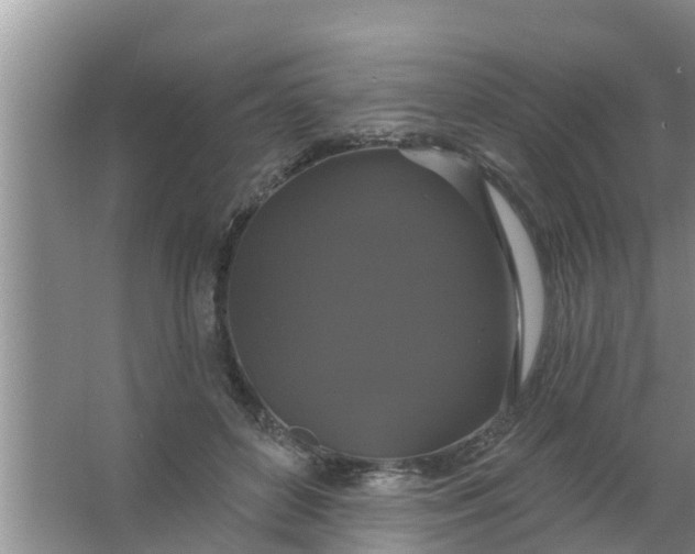 X0000063530504200602032140