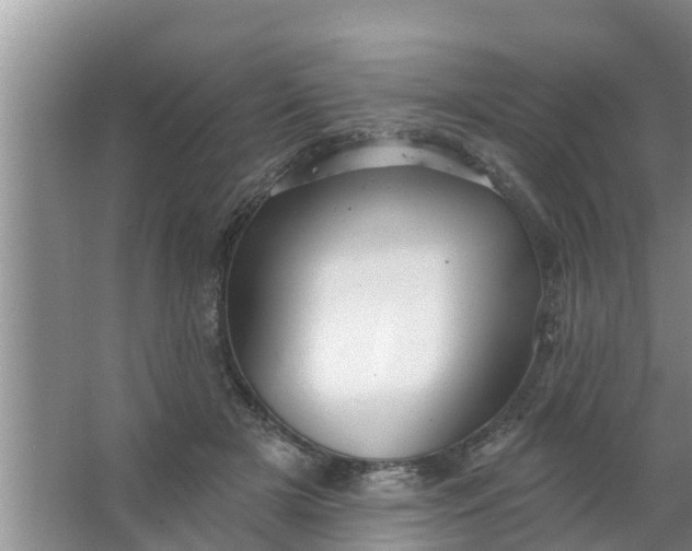 X0000063530505200602032140