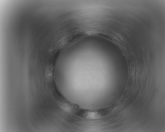 X0000063530507200602032139