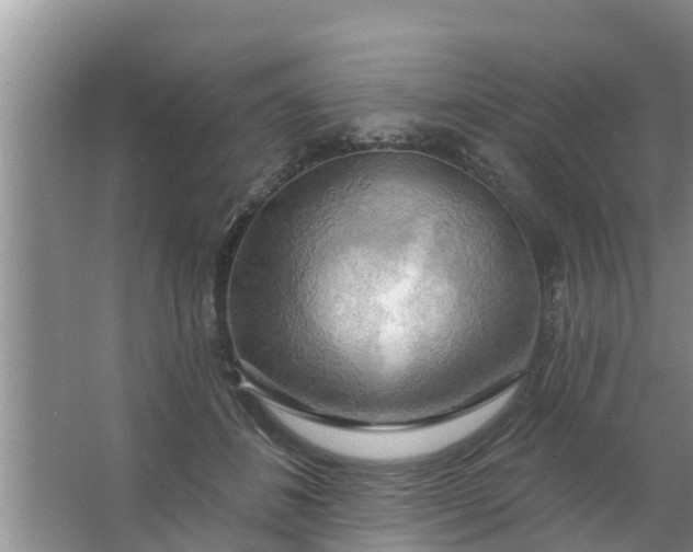 X0000063530508200602032139