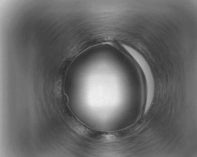 X0000063530509200602032139