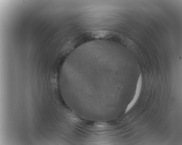 X0000063530510200602032139