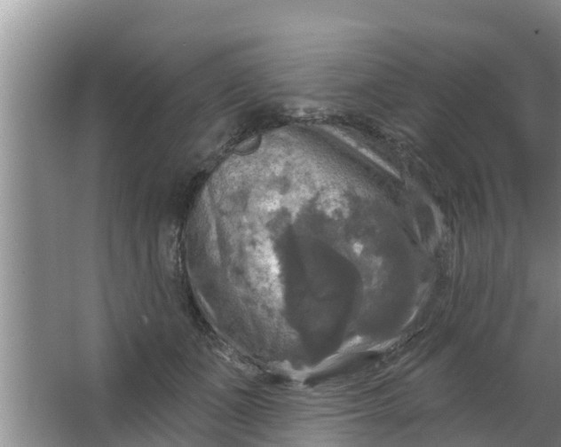 X0000063530511200602032139