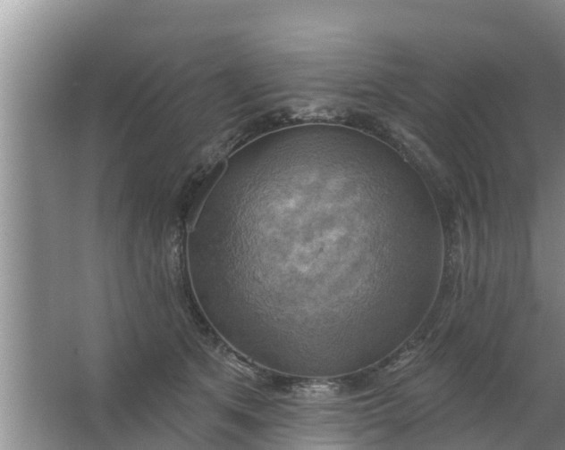 X0000063530513200602032139