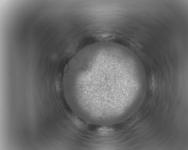 X0000063530515200602032139