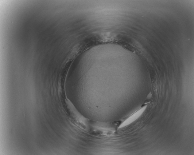 X0000063530516200602032139