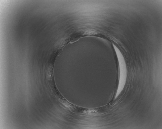 X0000063530517200602032139