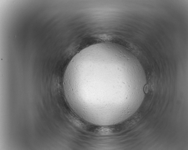 X0000063530518200602032139