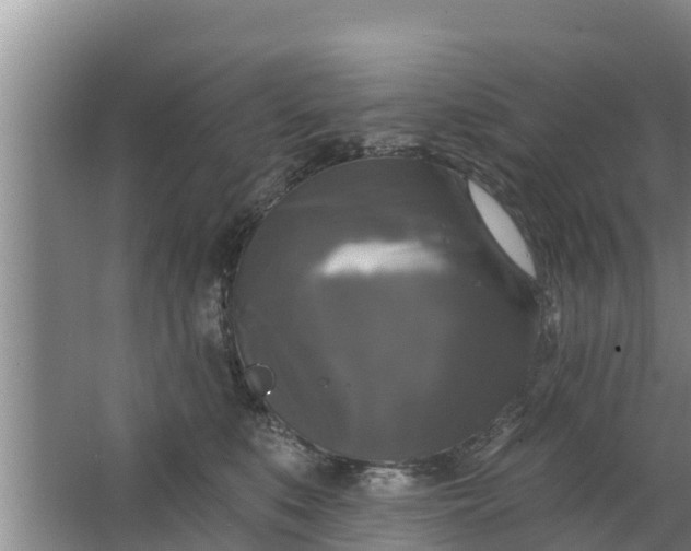 X0000063530519200602032139