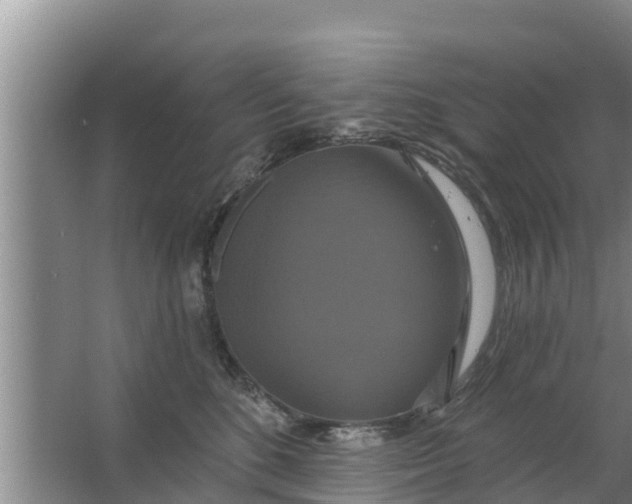 X0000063530520200602032139