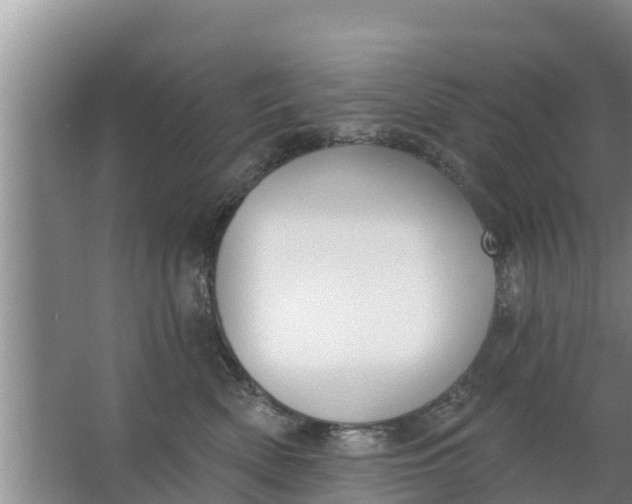 X0000063530522200602032139